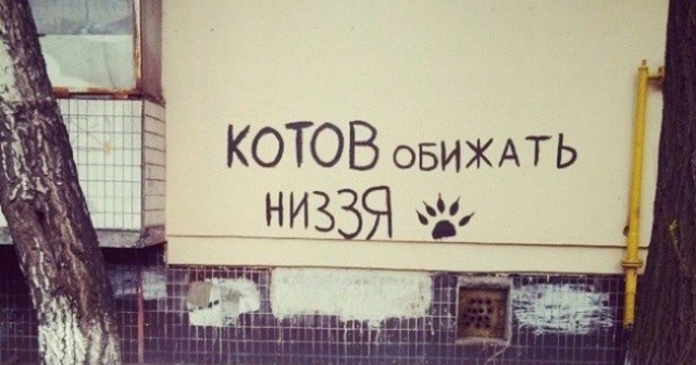Подонок!