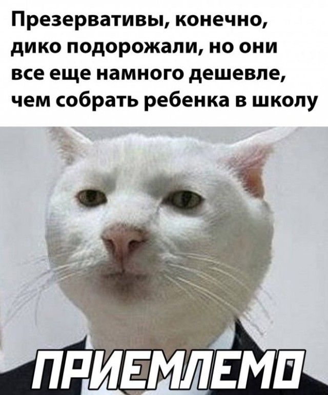 Просто картинки 26.08.22