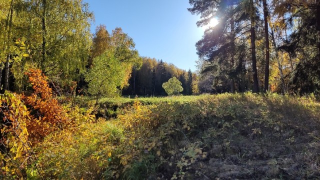 Поделимся красивыми фото с телефона?