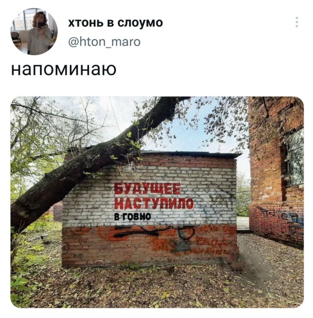 Пандемия съехавших крыш - разновидности болезни. Россия и мир. Часть 44.