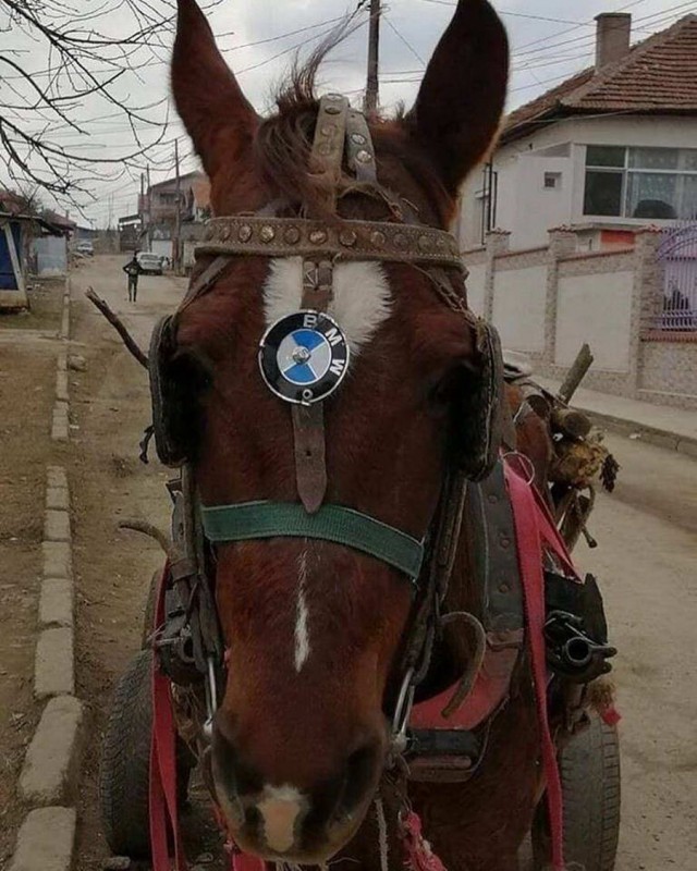 Нет, только показываю
