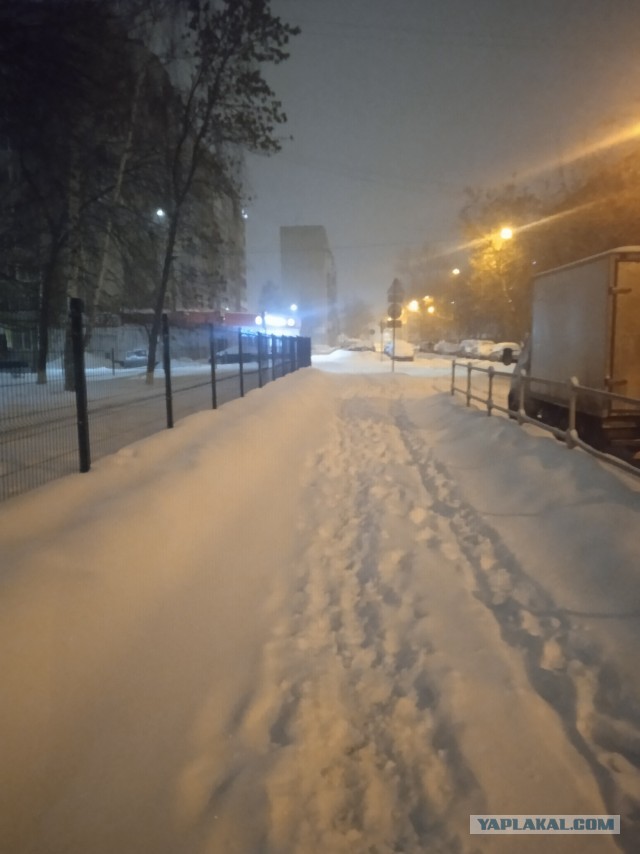 Одно зимнее фото