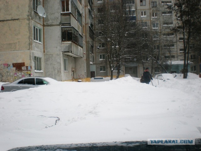 23 марта. Киев. Весна.