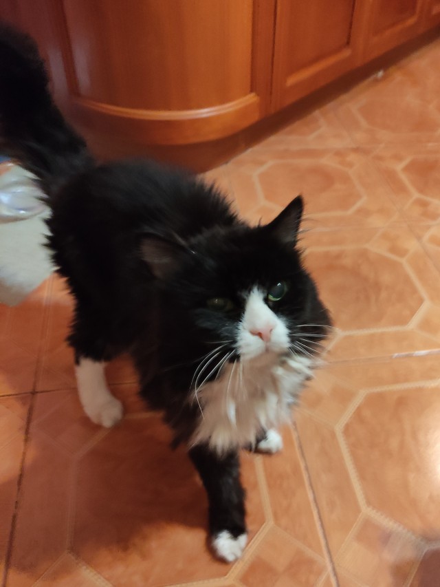 Совпало же? В котовторник