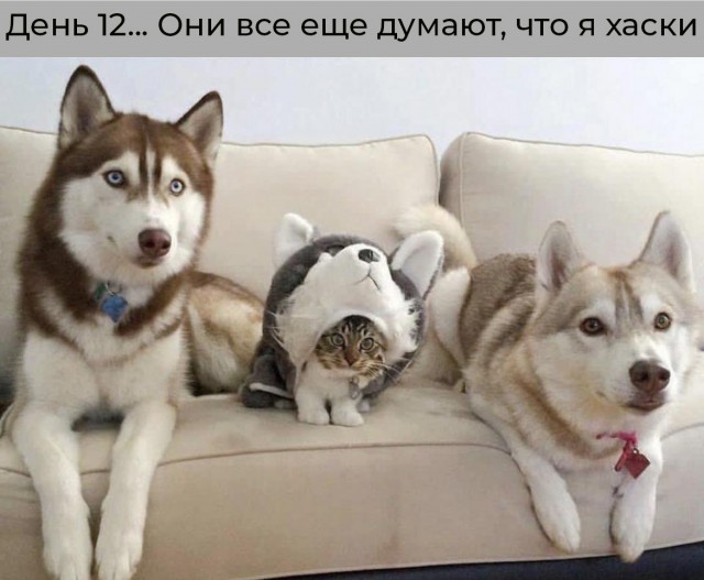 Немного картинок и прочей хреноты Vol. 21