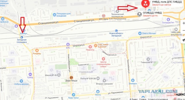 Бараны на встречке