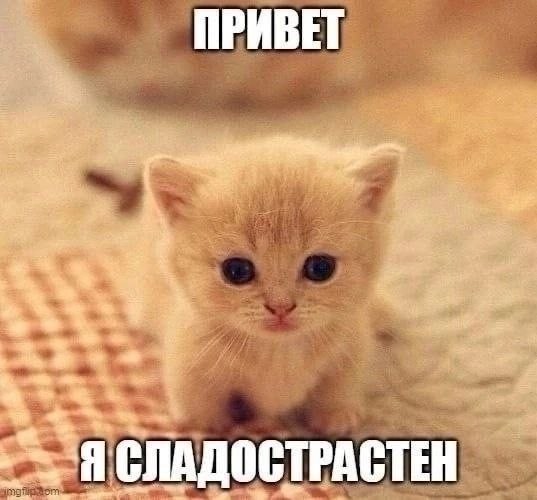 Всего понемногу, от 21.05