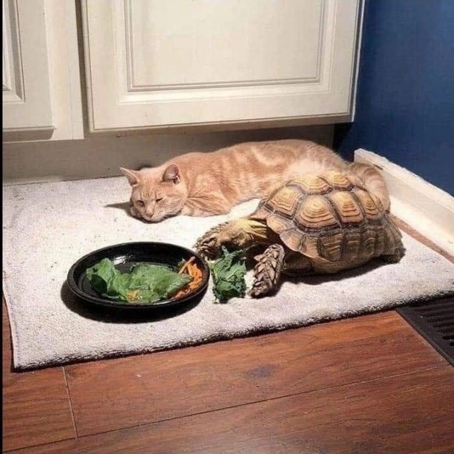 Синхронное лежание