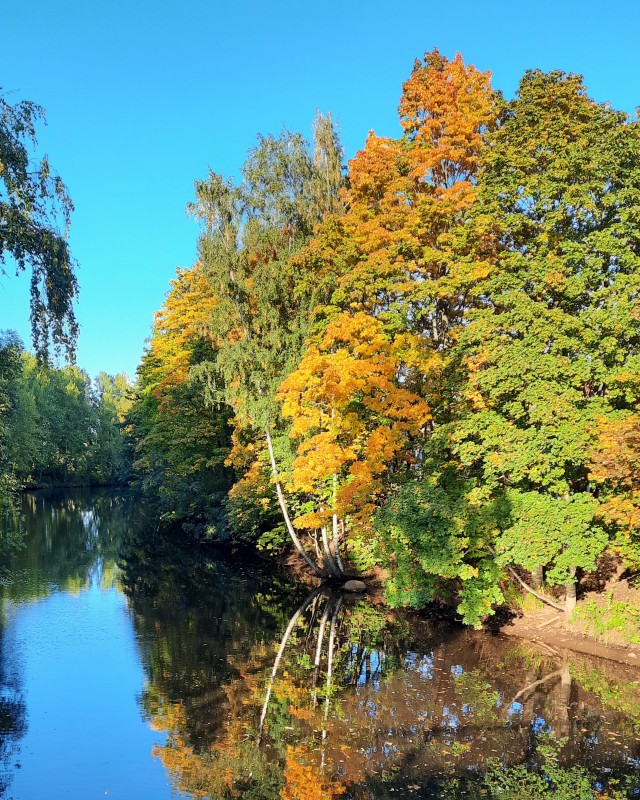 Санкт-Петербург