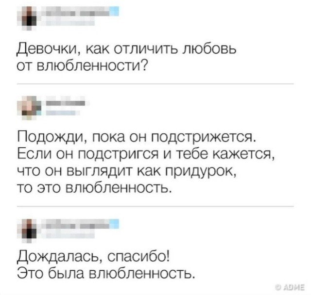 Весёлый полтишок 19.11.23
