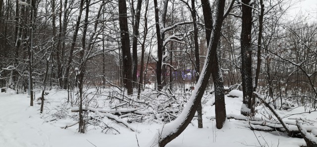 Зимняя красота