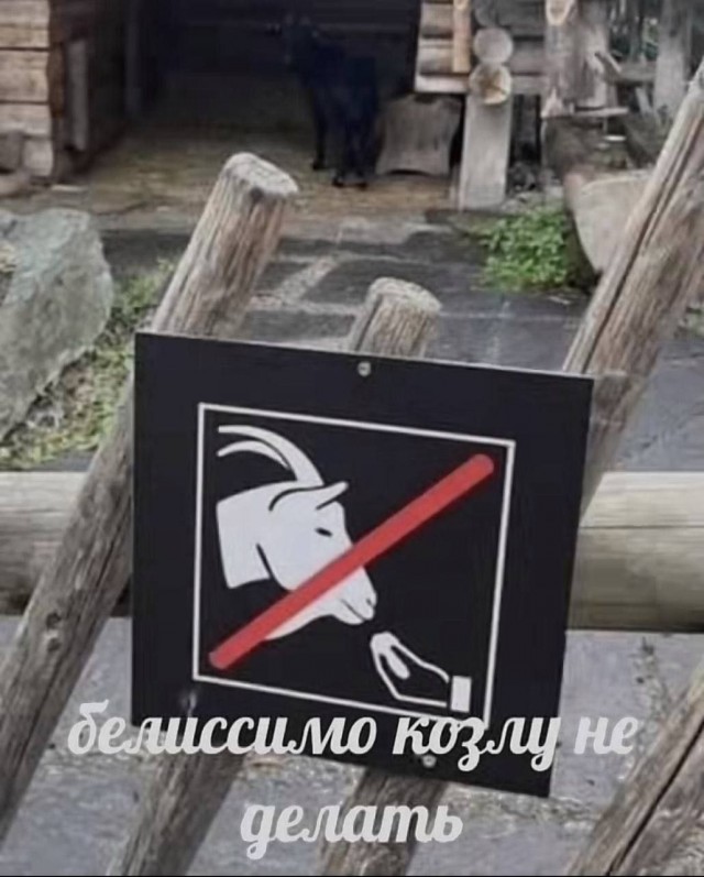 Никакие картинки