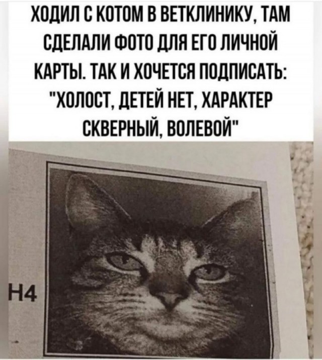 Завалялось тут случайно немного забавных картинок