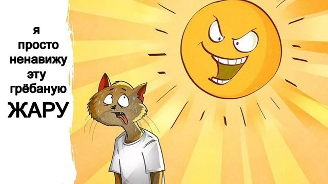 Так себе картинки 07.07.24