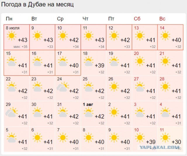 Чёрное море на побережье России прогрелось до опасных температур