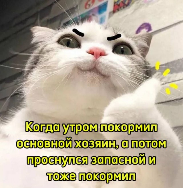 Всего понемногу. От 07.08