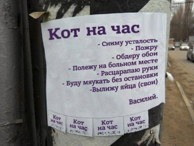 Картинки разные с надписями и без