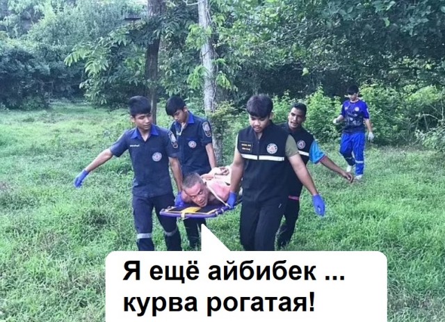 В Таиланде молодой россиянин пытался изнасиловать корову, но она его забодала