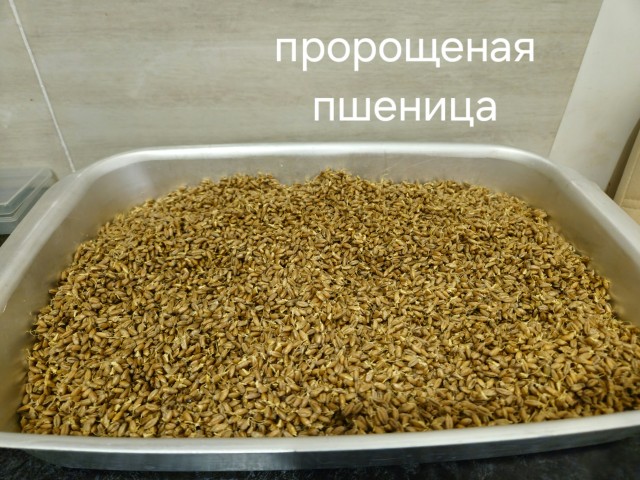 Смысл самогона