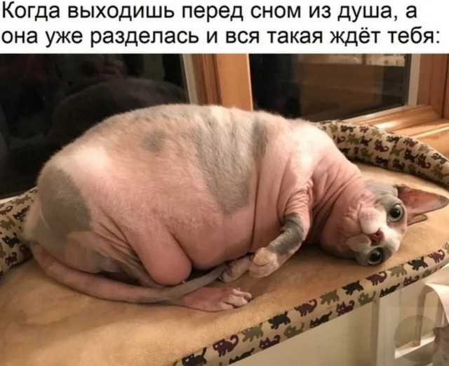 Картинки от 16 февраля