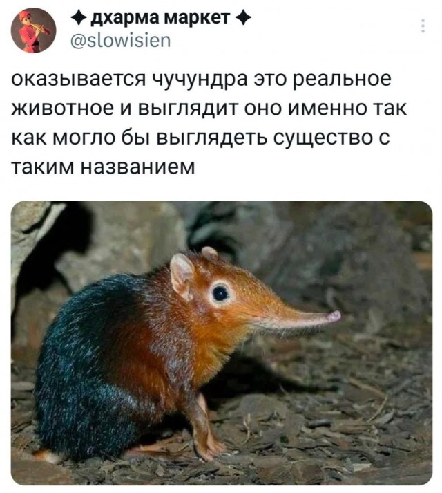 Так себе картинки 26.02.25