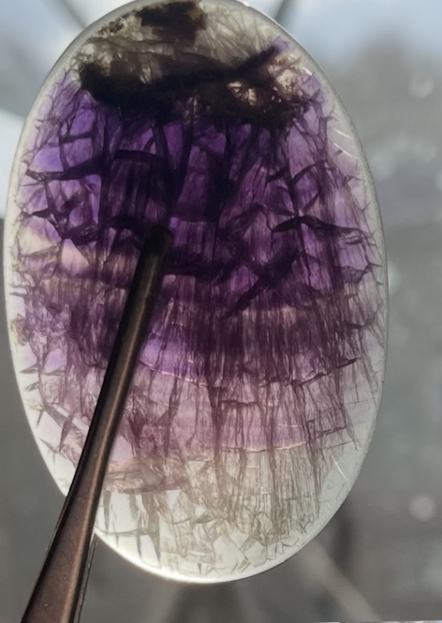 Литературная беседка v.1