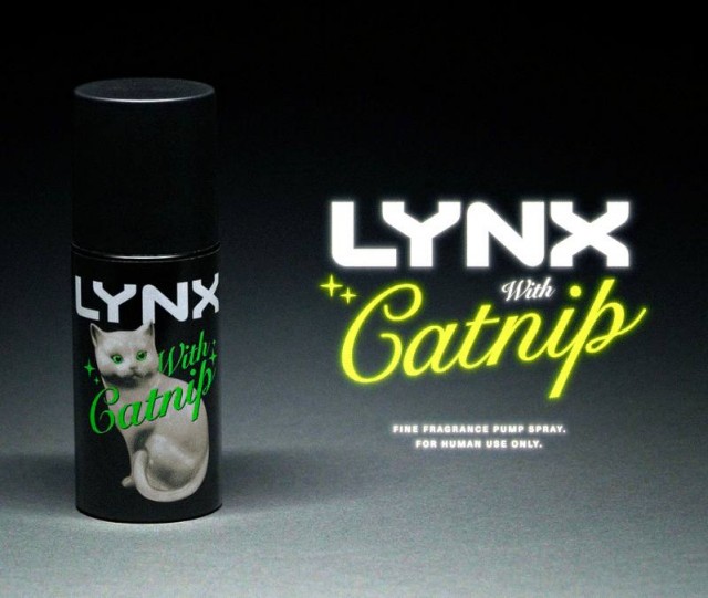 Хитрый ход! Lynx (известный у нас как Axe) выпустил дезодорант с запахом кошачьей мяты