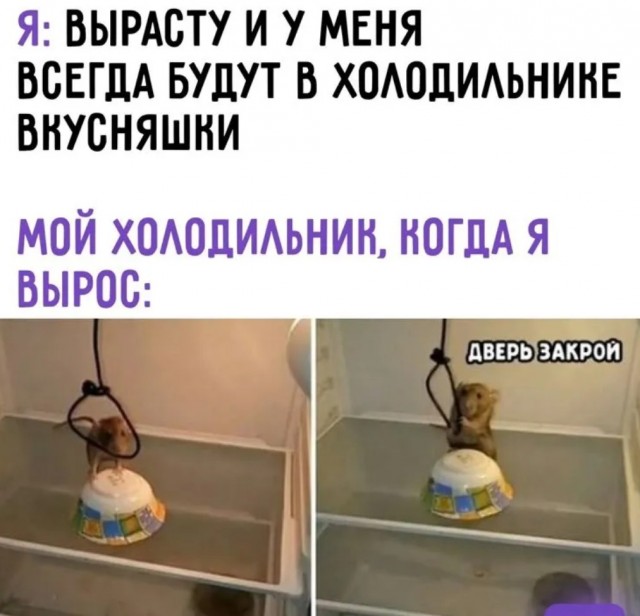 Завалялось тут случайно немного забавных картинок