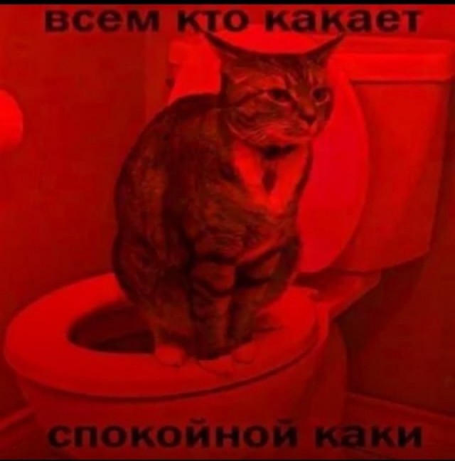 Немного е*анины на субботу