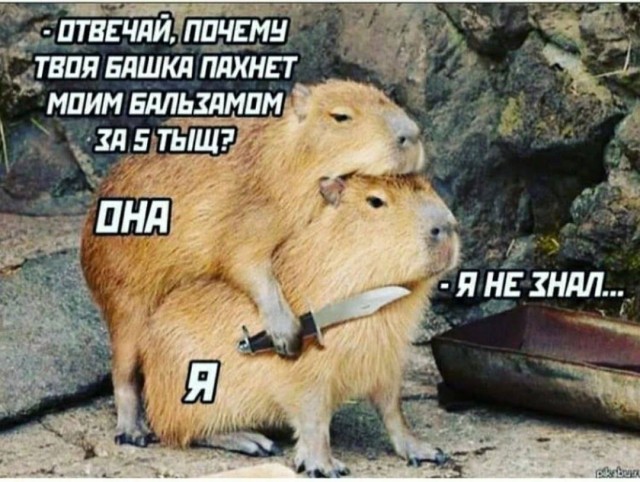 Картинки для деградации 7 (разной степени свежести)