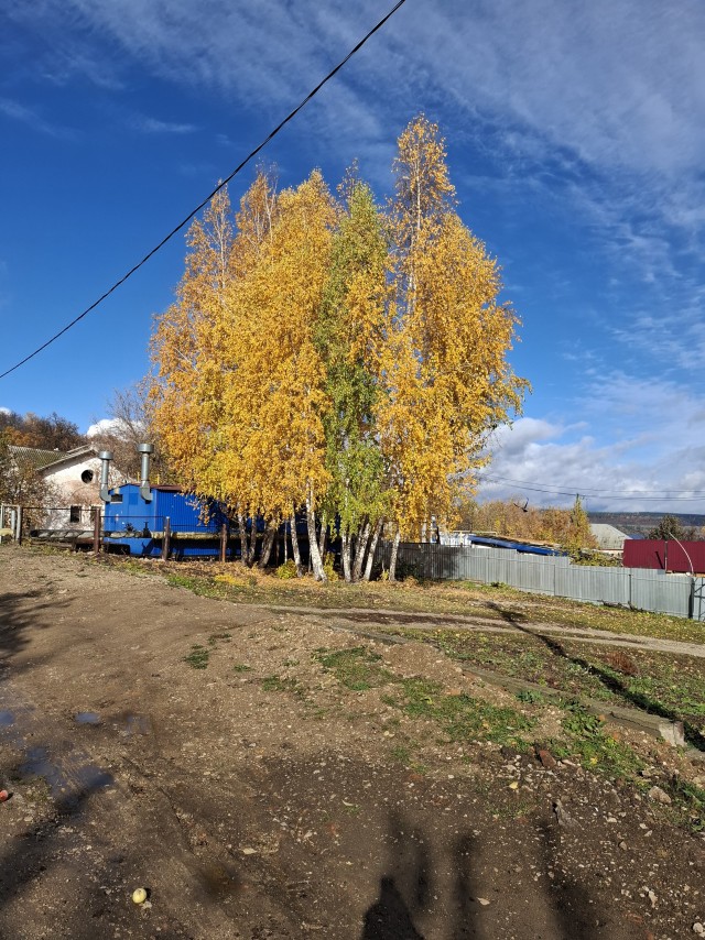 Вот такая красота у нас сегодня
