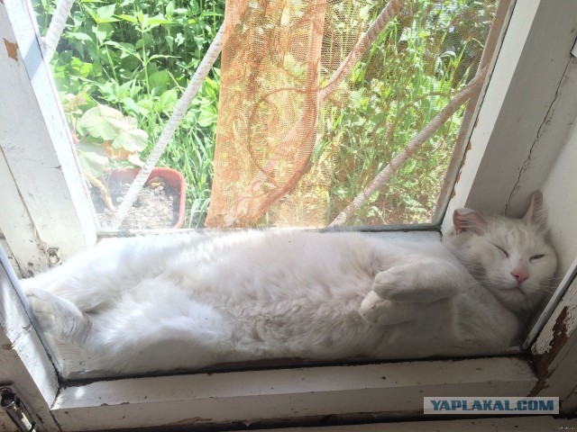 Готовимся к зиме