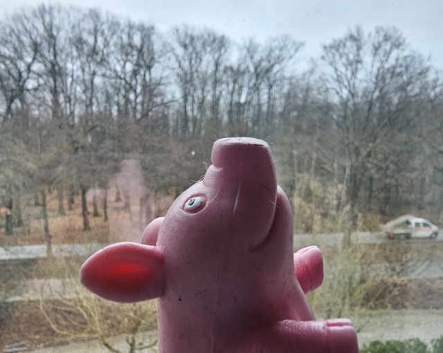 Мечты сбываются