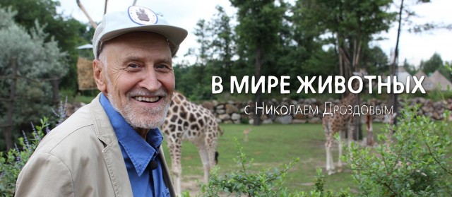 Жительница Дагестана сделала ринопластику и из-за этого была избита