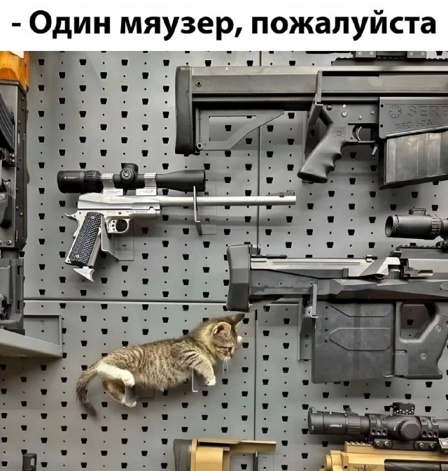 Всем Здравствуйте