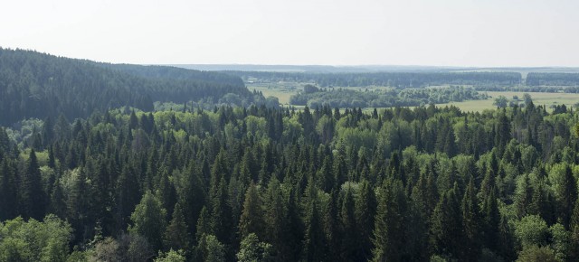 Деревенская Америка - 10