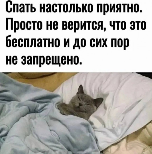 Субботние картинки