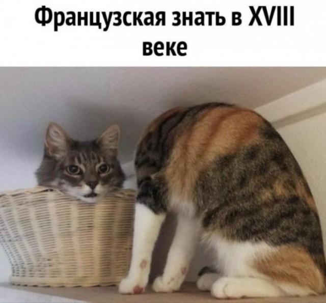 Веселые картинки в понедельник (27.04)