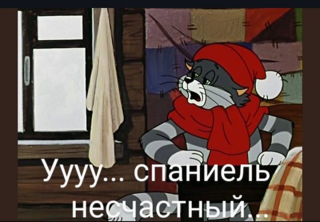 Щенок спаниеля