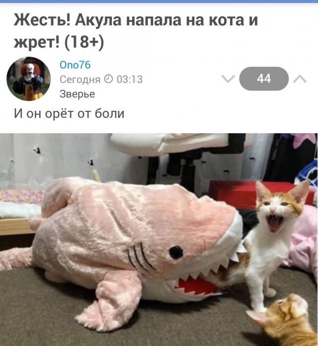 Потрошки, тёплые