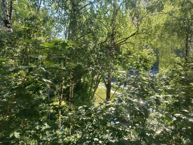 У кого что из окна?