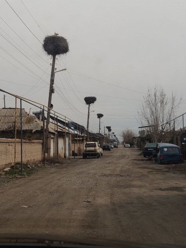 Люди, прошу вас