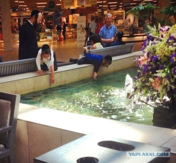 Это у них в крови!