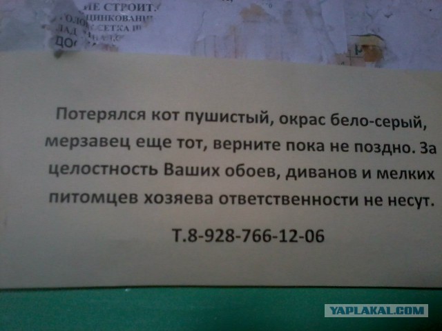 Картинки, объявления - 2