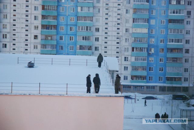 Уникальные кадры с приземлением и выходом Путина