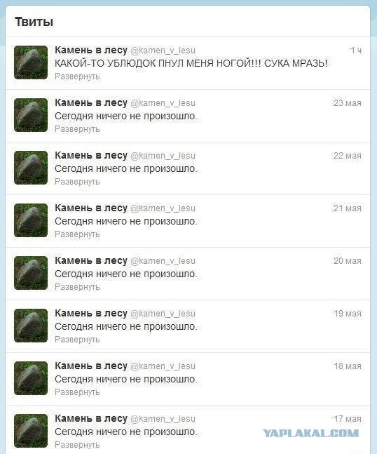 Хоть что-то произошло в жизни