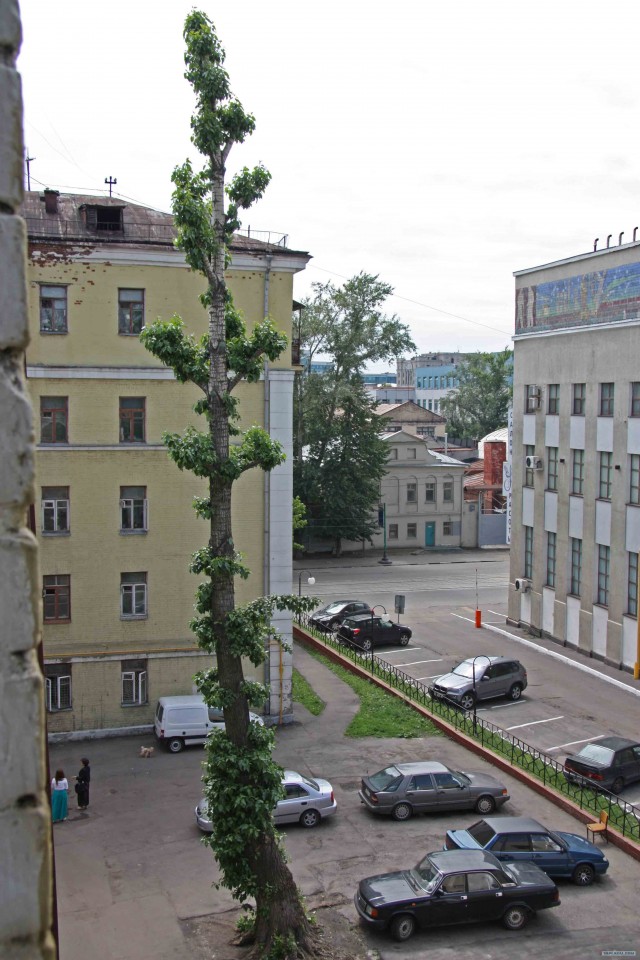 Триумф воли