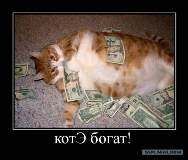 Добродетели Хреновы !