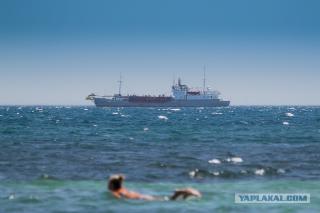 А в Крыму хорошо!