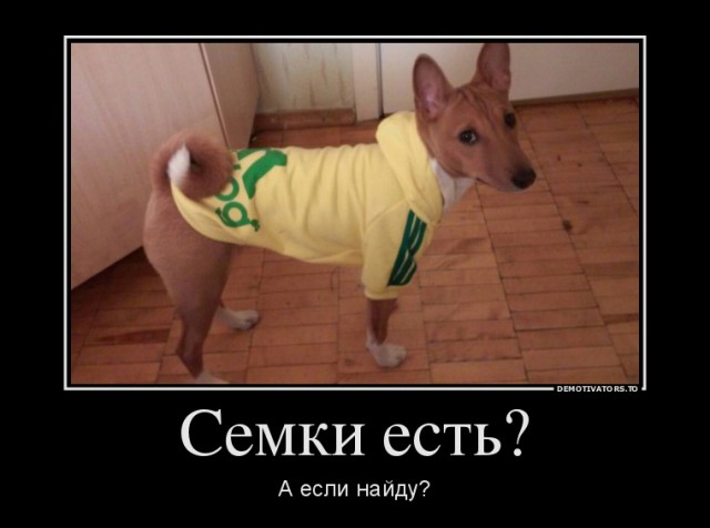 Три полоски Adidas